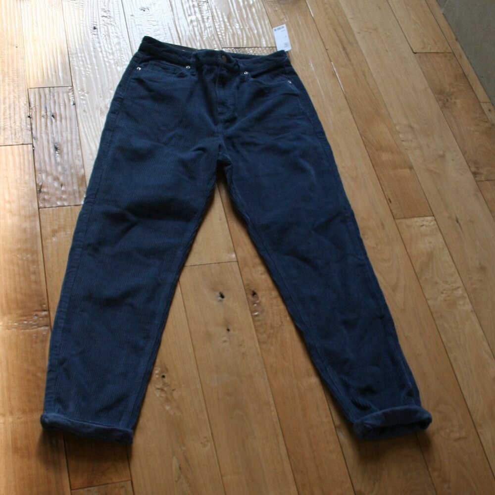 Urban Outfitters MOM High Rise Size 29 Corduroy Pants